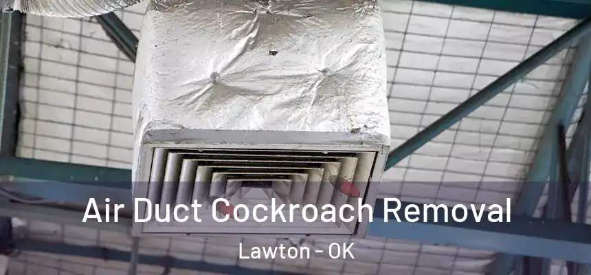Air Duct Cockroach Removal Lawton - OK