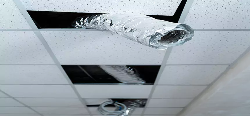 Our Air Duct Pet Hair Removal Services in Lawton, OK