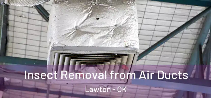 Insect Removal from Air Ducts Lawton - OK