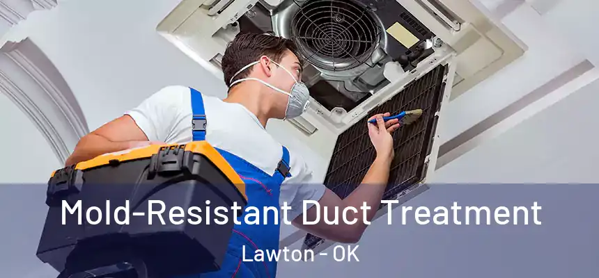 Mold-Resistant Duct Treatment Lawton - OK
