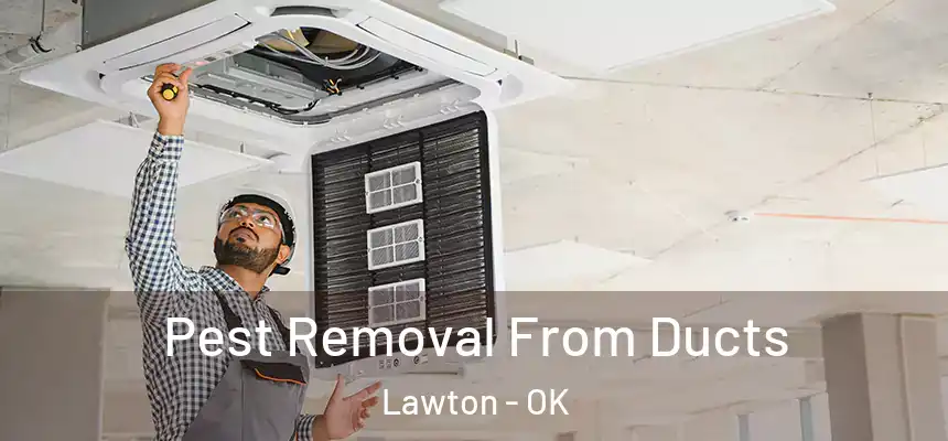Pest Removal From Ducts Lawton - OK