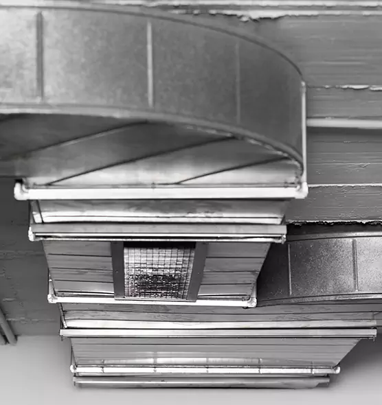 Professional Air Duct Pest Removal in Lawton, OK