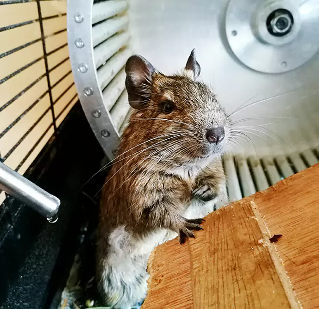 Why Homeowners & Businesses Trust Us Lawton, OK?