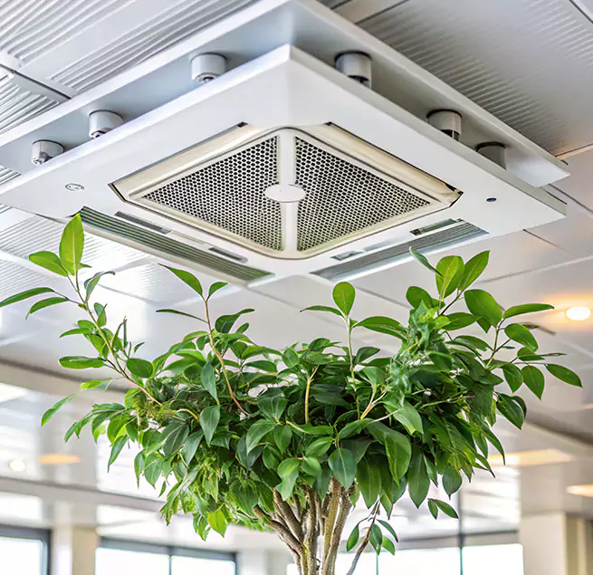 Why Homeowners & Businesses Trust Us in Lawton, OK?